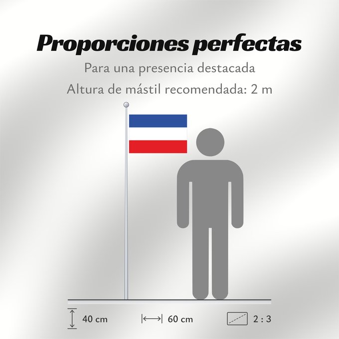 Proporciones de la bandera: Schleswig-Holstein