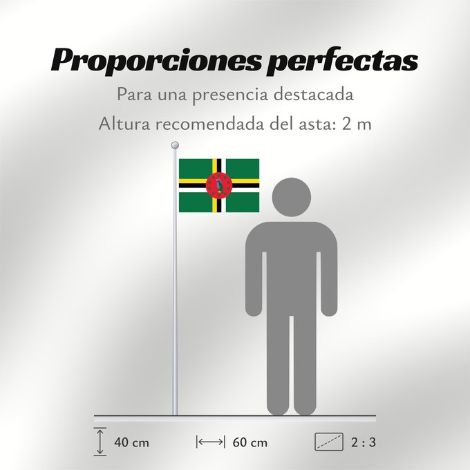 Proporciones de la bandera: Dominica	 Dominique	Dominica lipp	Dominican	ドミニカ国の国旗	Флаг Доминики	Dominike	Dominicas