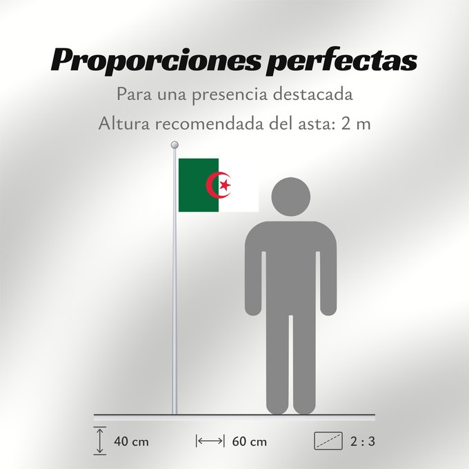 Proporciones de la bandera: Algeria L Algérie Argelia Algerien Dell Algeria Algerije Argélia Algierii Vo Algérie علم الجزائر Σημαία της Αλγερίας Alĝerio Algerian דגל אלג יריה Algéria Aljazair アルジェリアの国旗 Asenǧaq n Dzayer 알제리의 국기 Drapèu d Argeria Флаг Алжира Alžirije Algeriets ⴰⵏⴰⵢ ⴰⴷⵣ