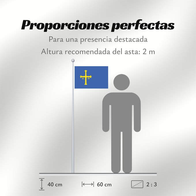 Proporciones de la bandera: Asturias	Principality of Asturias	Principauté des Asturies	Principado de Asturias	Asturien	D Asturies	Флаг Астурии