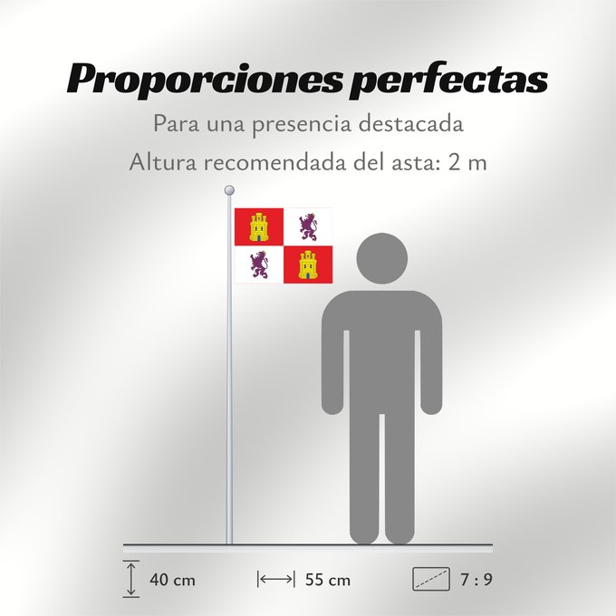 Proporciones de la bandera: Castile and León Autonomous community of Castile and León Castille-et-León Comunidad autónoma de Castilla y León Kastilien und León Castiglia e León