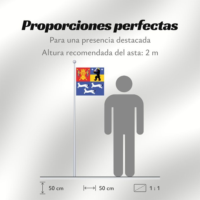 Proporciones de la bandera: Länsi-Suomen lääni
