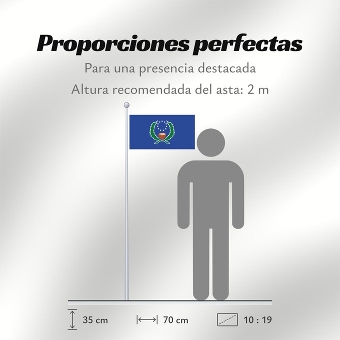 Proporciones de la bandera: Pohnpei	State of Pohnpei	L État de Pohnpei	Pohnpei 	Staates Pohnpei im Verhältnis 10 19 Beschreibung der Flagge  Das blaue Tuch steht für den Pazifik