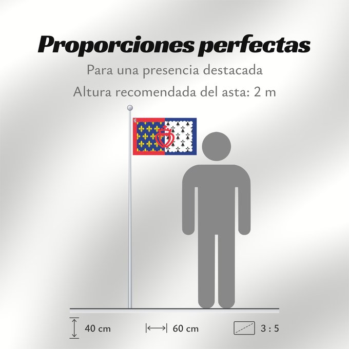 Proporciones de la bandera: Unofficial flag of Pays-de-la-Loire	Unofficial flag of the region Pays-de-la-Loire in France	Non officiel de la région Pays-de-la-Loire	Países del Loira	Pays de la Loire	Los Païses de Léger