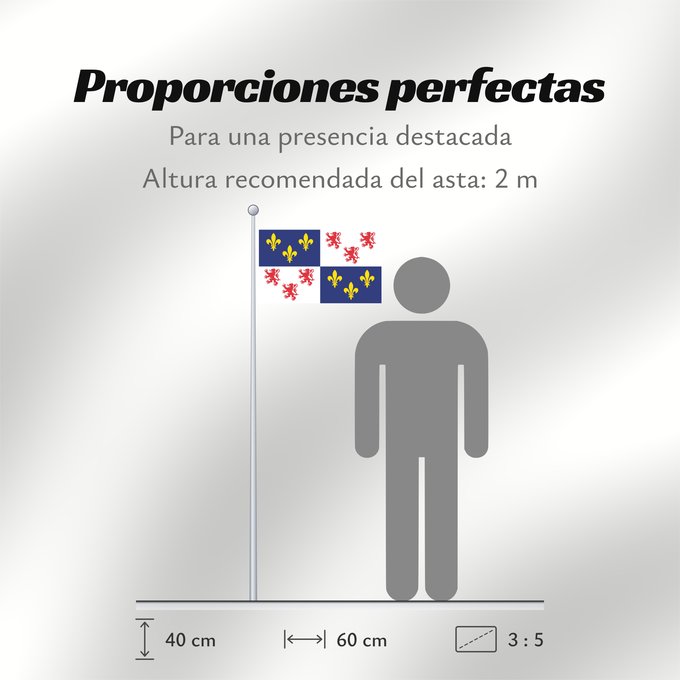 Proporciones de la bandera: Picardie	Region Picardie in France	Région Picardie en France	Picardo	Picard
