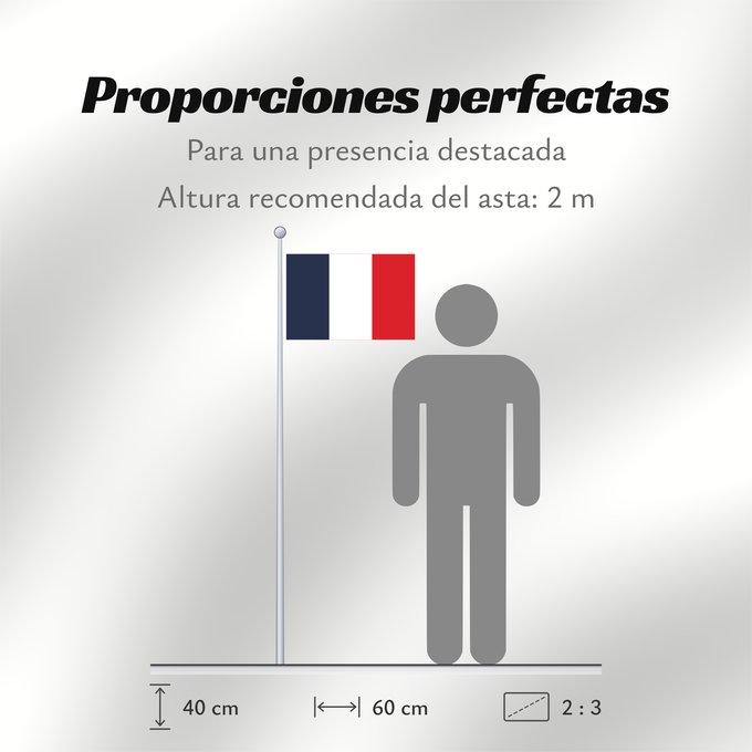 Proporciones de la bandera: France Francia Frankreich France in #002654, #FFFFFF, #CE1126