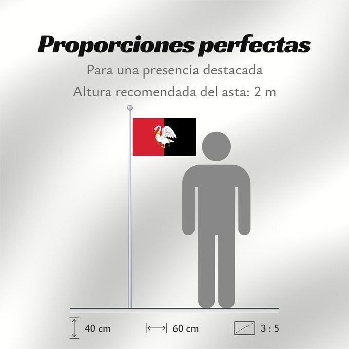 Proporciones de la bandera: Buckinghamshire