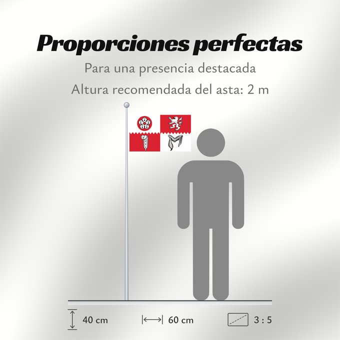 Proporciones de la bandera: County flag of Leicestershire	The County Flag of Leicestershire	Leicestershire
