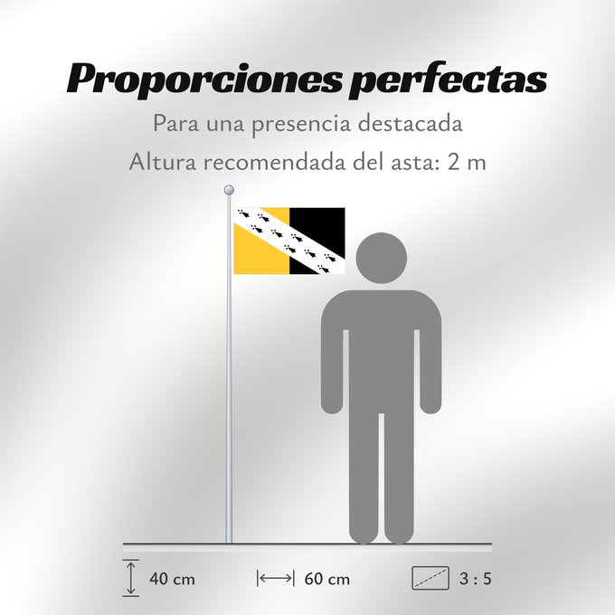 Proporciones de la bandera: Norfolk