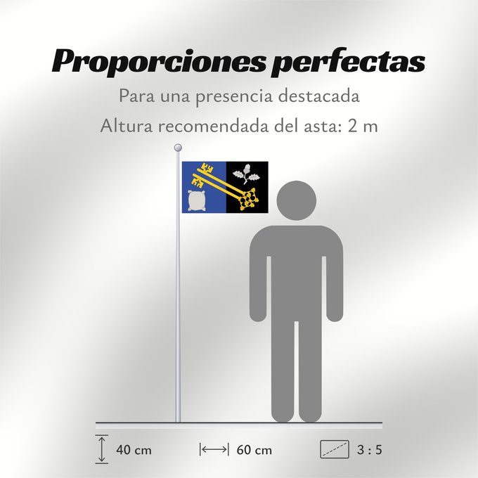 Proporciones de la bandera: County flag of Surrey	The County Flag of Surrey	Surrey