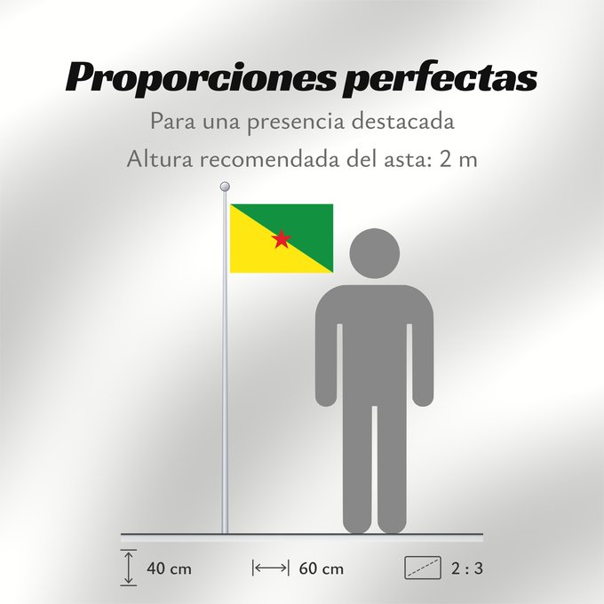 Proporciones de la bandera: French Guiana	Guyane	Guayana Francesa	Französisch-Guayana	Guyana Francese