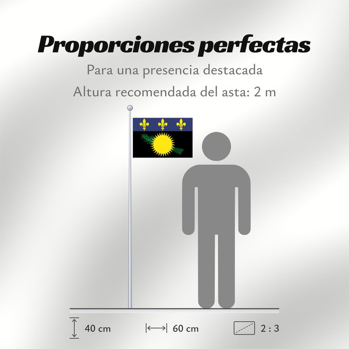 Proporciones de la bandera: Unofficial flag of Guadeloupe  local	Unofficial local flag of Guadeloupe	Guadeloupe	Guadalupe. Uso no oficial	Guadalupa