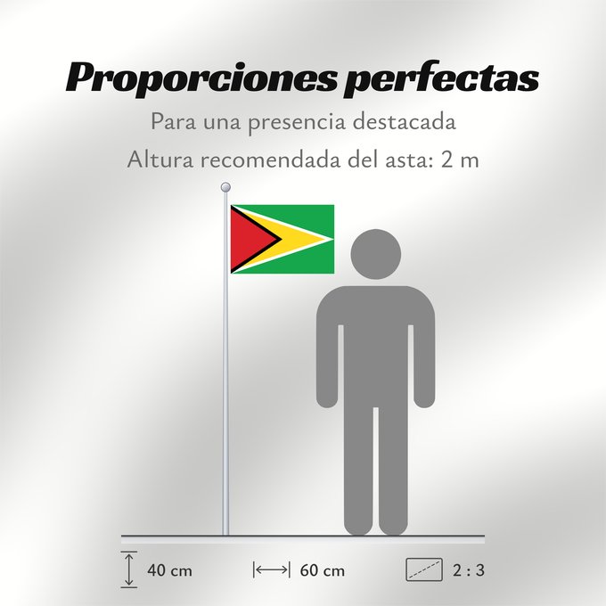 Proporciones de la bandera: Guyana Guiana Wayana wiphala Gujano Gwayana Wayana unancha Флаг Гайаны Guyanas Quốc kỳ Guyana