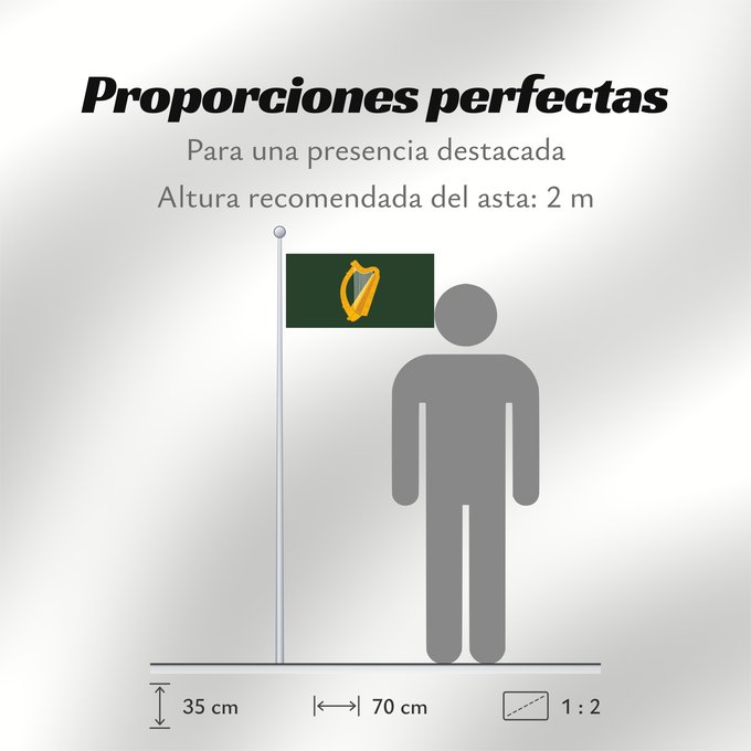 Proporciones de la bandera: Leinster	W Leinster
