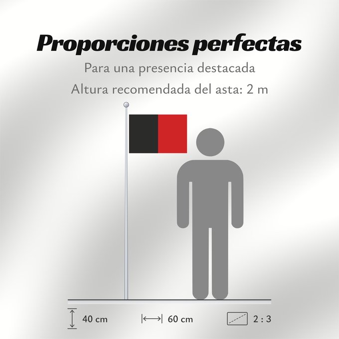 Proporciones de la bandera: Valle d'Aosta, Vallée d'Aoste (fr)