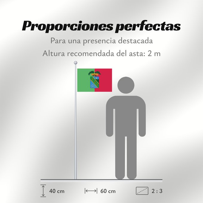 Proporciones de la bandera: Latina	Province of Latina	Province de Latina	Provincia de Latina	Provinz Latina	Provincia di Latina