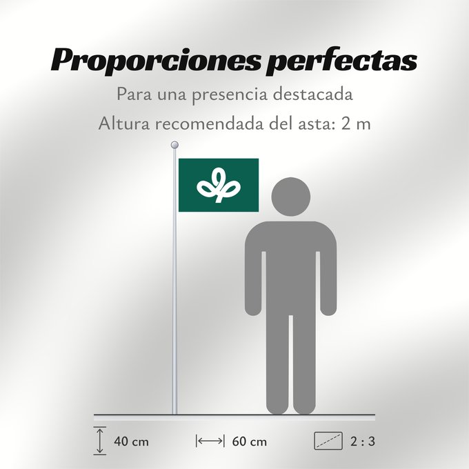 Proporciones de la bandera: Miyagi Prefecture	préfecture de Miyagi	prefectura de Miyagi	Präfektur Miyagi,	Prefettura di Miyagi	宮城県旗