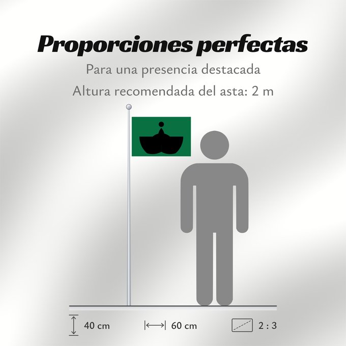 Proporciones de la bandera:  Tiba [Chiba]