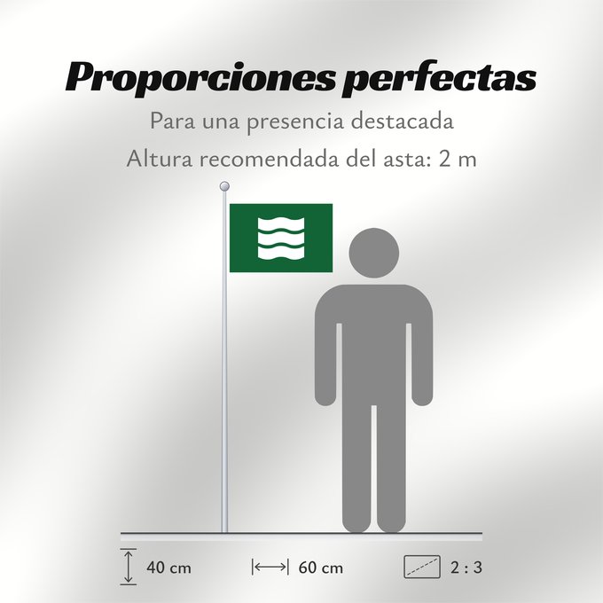 Proporciones de la bandera: Hiroshima City Hiroshima Prefecture Hiroshima