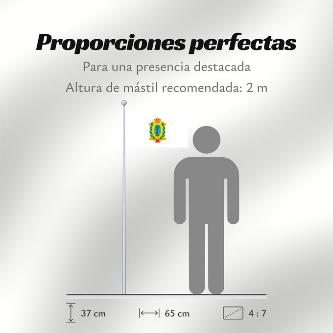 Proporciones de la bandera: Durango