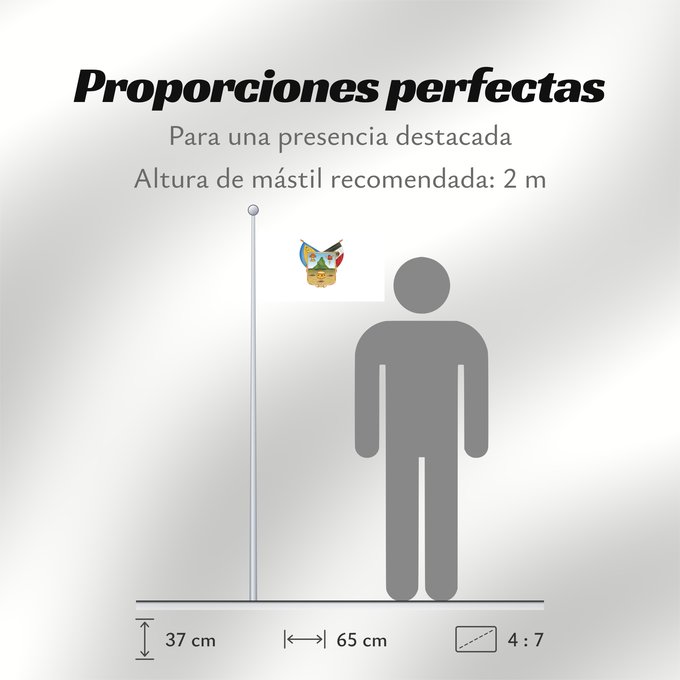 Proporciones de la bandera: Hidalgo	hidalgo y fidalgo