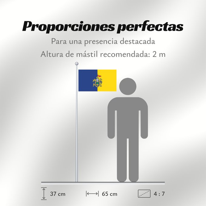 Proporciones de la bandera: Jalisco	Official flag of Free and Sovereign State of Jalisco in accordance to the government	Officielle de l État libre et souverain de Jalisco	Oficial del Estado Libre y Soberano de Jalisco de acuerdo con la ley sobre la bandera del Congreso estatal y el
