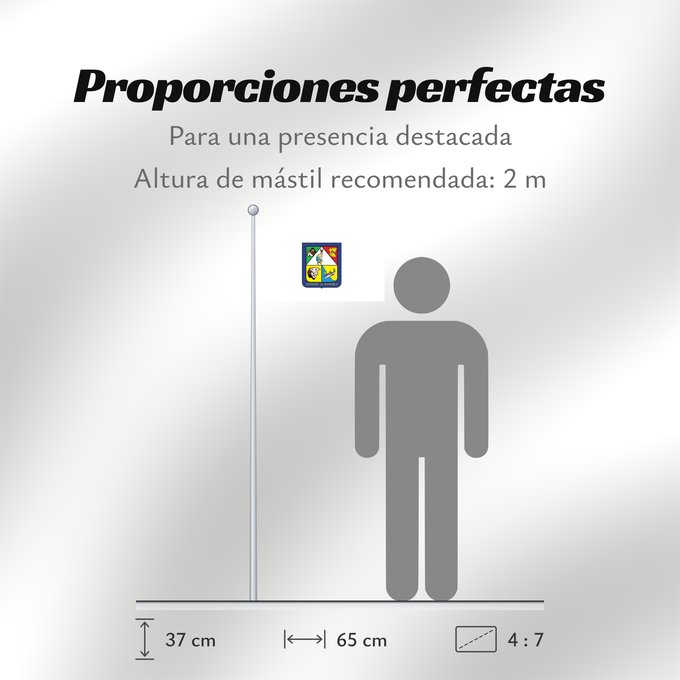 Proporciones de la bandera: Sonora