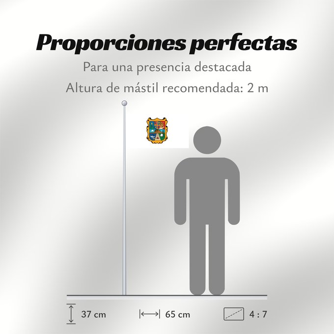 Proporciones de la bandera: Tamaulipas