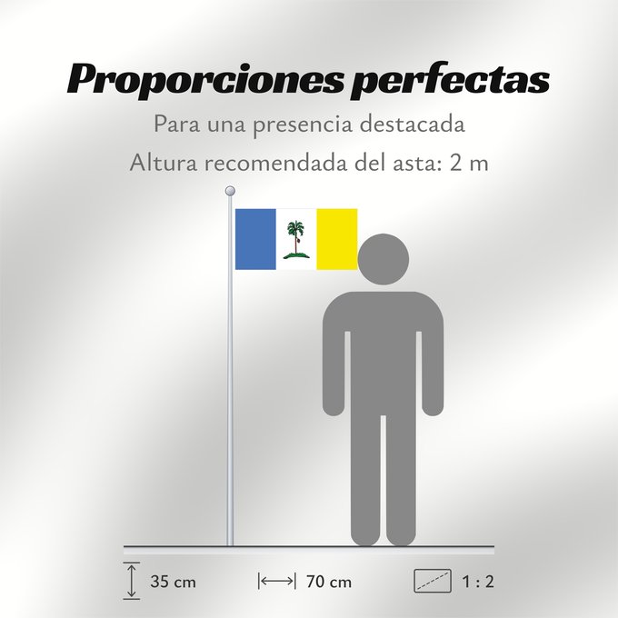 Proporciones de la bandera: Pulau Pinang