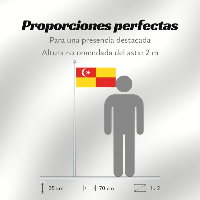 Proporciones de la bandera: Selangor	Selangor 	Malaysian state Selangor