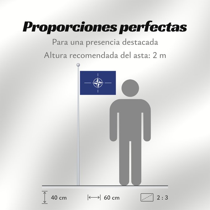 Proporciones de la bandera: NATO	North Atlantic Treaty Organization  NATO	L Organisation du traité de l Atlantique nord  OTAN	Organización del Tratado del Atlántico Norte  OTAN	Organizazione/ North Atlantic Starts Treaty	Dell Organizzazione del Trattato dell Atlantico del Nord  NATO