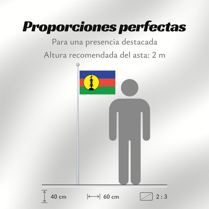 Proporciones de la bandera: FLNKS	Kanak and Socialist National Liberation Front political party	Front de libération nationale kanak et socialiste	Colores Pantone http //www	Neukaledonien	Nuova Caledonia	Front d Alliberament Nacional Canac Socialista