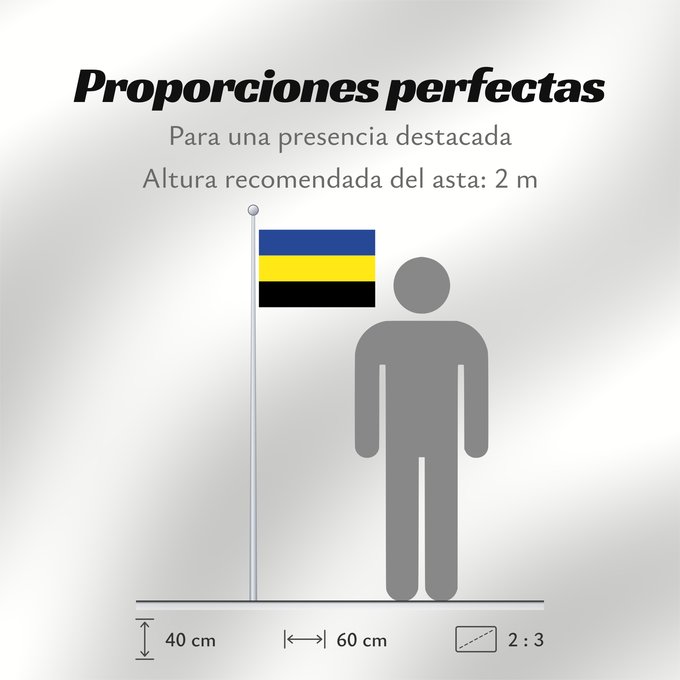 Proporciones de la bandera: Gelderland	Province of Gelderland in the Netherlands	Güeldres	Gelderland 