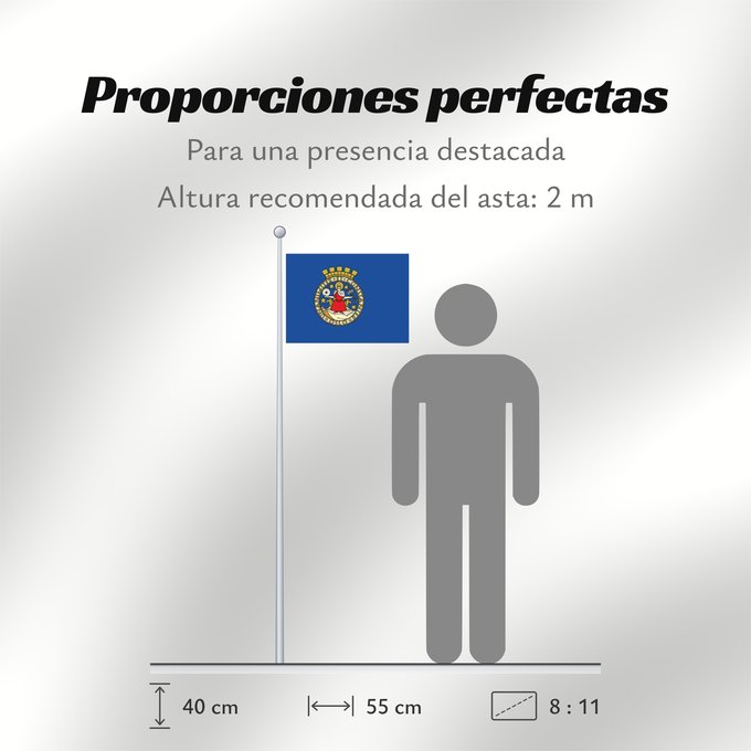 Proporciones de la bandera: Oslo
