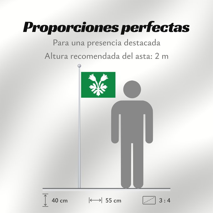 Proporciones de la bandera: Oppland Former county of Oppland, Norway comté d’Oppland