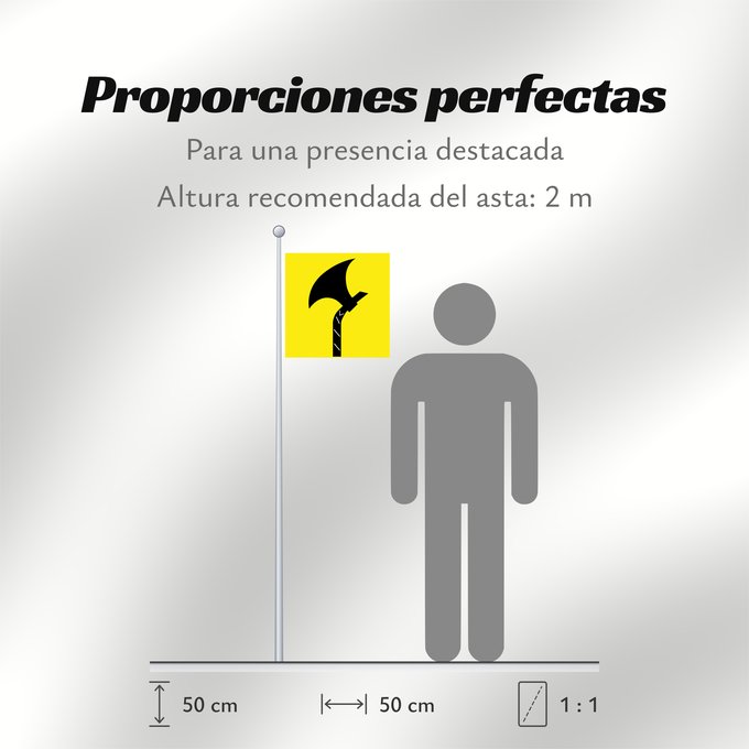 Proporciones de la bandera: Telemark