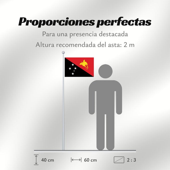 Proporciones de la bandera: Papua New Guinea	Papua New GuineaColours Pantone 186 C for red and 116 C for yellow	Papouasie-Nouvelle-Guinée	Papúa Nueva Guinea	Papua-Neuguineas	Papua Nuova Guinea	Papoea-Nieuw-Guinea	Papua-Nova Guiné	Papui-Nowej Gwinei	علم بابوا غينيا الجديدة	পাপুয়া নি