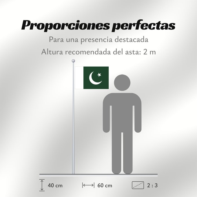 Proporciones de la bandera: Pakistan Pakistan Pakistán Paquistão علم باكستان পাকিস্তানের জাতীয় পতাকা পাকিস্তানর ফিরালহান Pakistano पाकिस्तान का ध्वज ପାକିସ୍ତାନୀ ଝଣ୍ଡା ਪਾਕਿਸਤਾਨ ਦਾ ਕੌਮੀ ਝੰਡਾ د پاکستان بيرغ Флаг Пакистана Pakistana பாக்கித்தான் கொடி Прапор Пакистану پاکستان کا پرچم