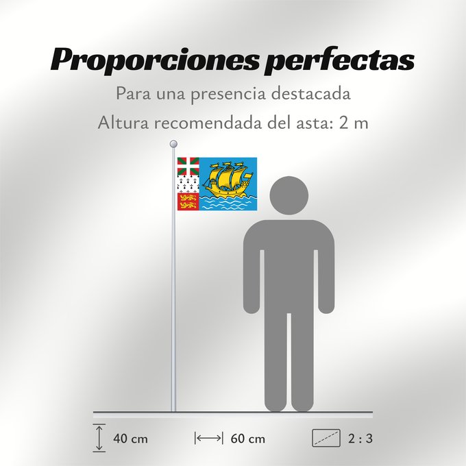 Proporciones de la bandera: Saint-Pierre and Miquelon	Unofficial flag of Saint-Pierre and Miquelon	Non officiel de Saint-Pierre-et-Miquelon	San Pedro y Miquelón. Uso no oficial	Saint-Pierre und Miquelon	Saint-Pierre e Miquelon	Banniel anofisiel Sant-Pêr-ha-Mikelon	Ez ofiziala