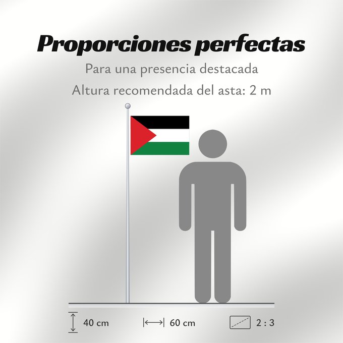 Proporciones de la bandera: Palestine State of Palestine L’État de Palestine Estado de Palestina Palästina Palestina علم فلسطين ফিলিস্তিনের পতাকা Palestino Dari Negara Palestina Флаг Государства Палестина