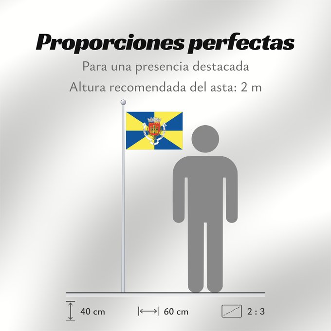 Proporciones de la bandera: Bragança
