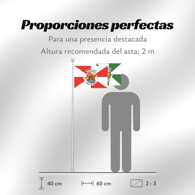 Proporciones de la bandera: Leiria