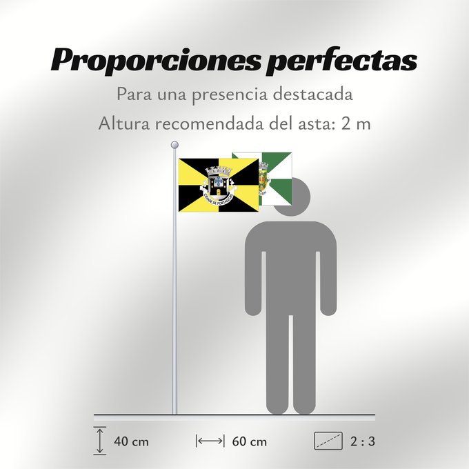 Proporciones de la bandera: Portalegre