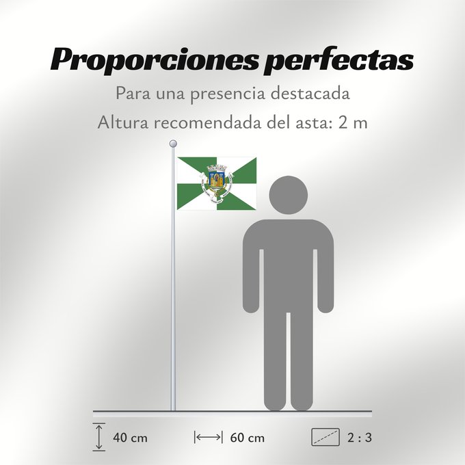 Proporciones de la bandera: Porto