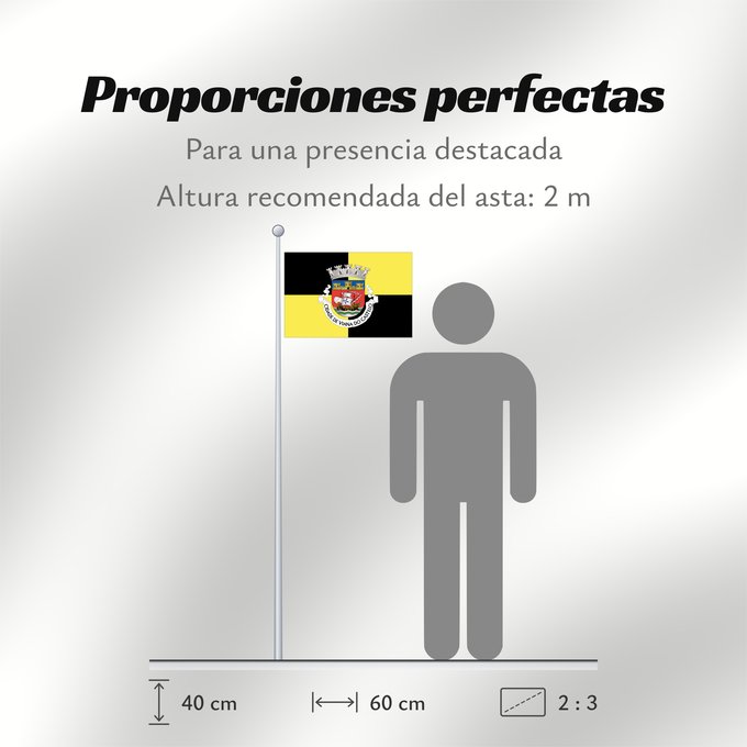Proporciones de la bandera: Viana do Castelo