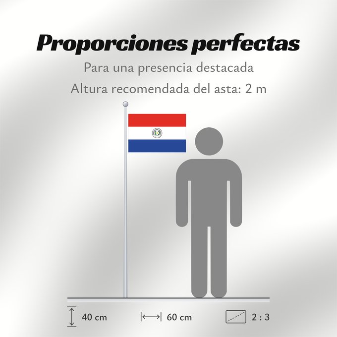 Proporciones de la bandera: Paraguay	Paraguay  obverse	علم باراغواي	پرچم پاراگوئه  روی پرچم	Флаг Парагвая