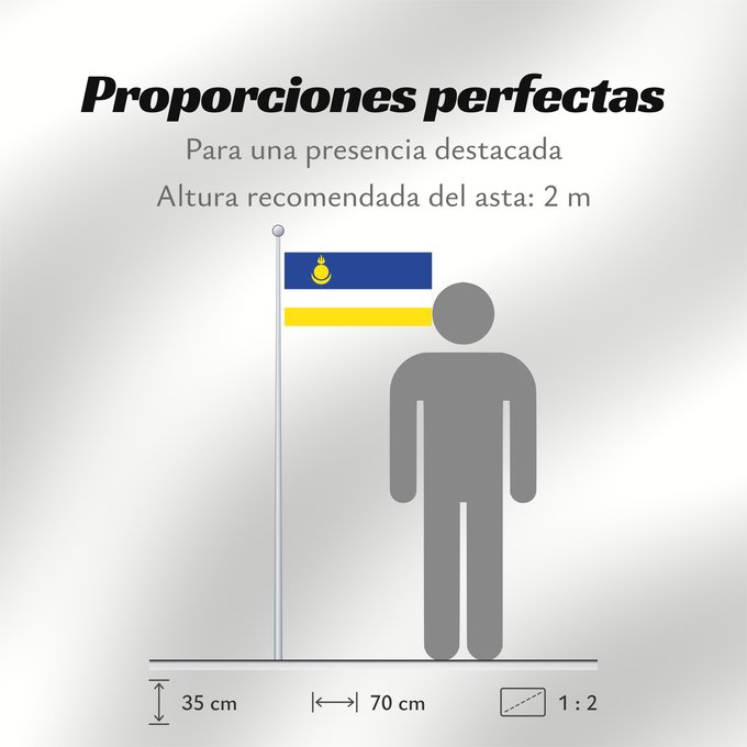 Proporciones de la bandera: Buryatia Republic of Buryatia Buratti República de Buriatia Repubblica di Buriazia Буряад Республикын гyрэнэй һүлдэ Флаг Бурятии Парчами Бурятия