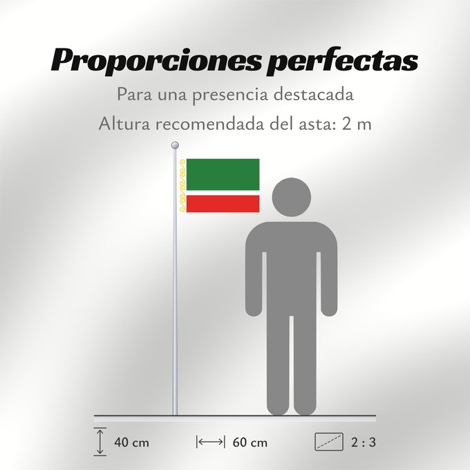 Proporciones de la bandera: Chechen Republic	Chechenia	Tschetschenische	Cecenia	Байракх Нохчийн Республикан	Флаг Чеченской Республики	Парчами Ҷумҳурии Чеченистон	Стяг Чеченської Республіки Російської Федерації