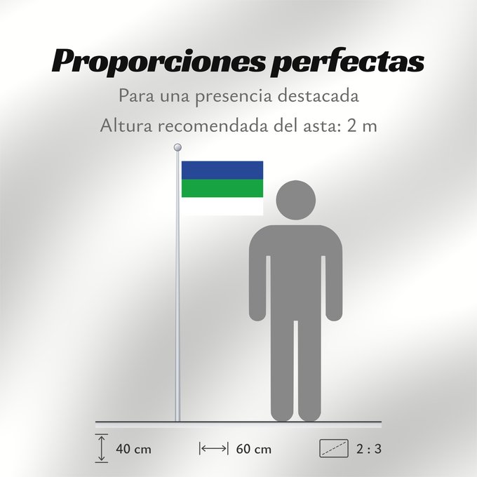 Proporciones de la bandera: Komi State Flag of the Komi Republic République des Komis República de Komi Republik Komi Repubblica di Komi Коми Республикаса дöрапас Государственный флаг Республики Коми