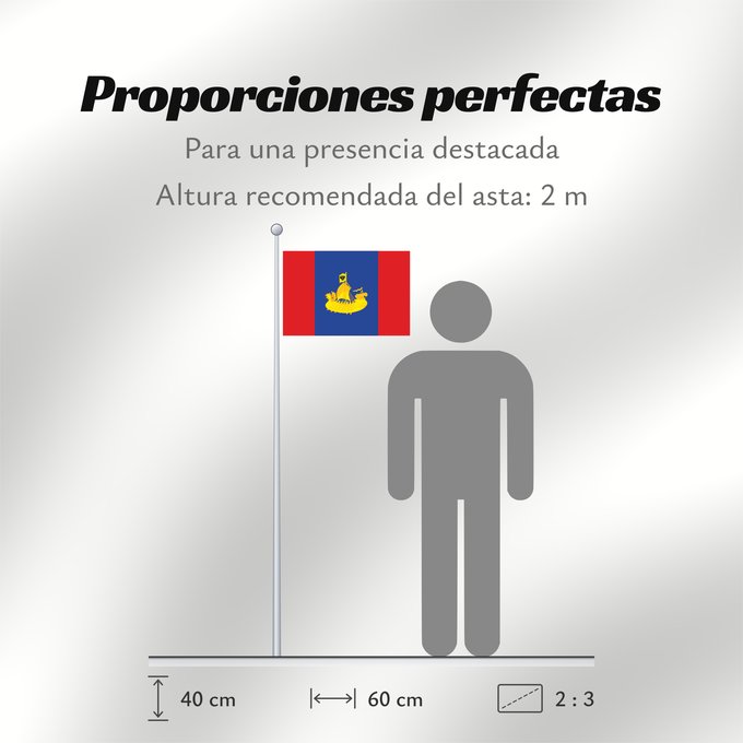 Proporciones de la bandera: Kostroma Oblast	Oblast de Kostroma	Óblast de Kostromá	Oblast Kostroma	Флаг Костромской области